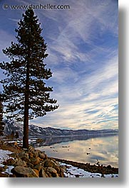california, dusk, lake tahoe, lakes, snow, trees, vertical, west coast, western usa, photograph