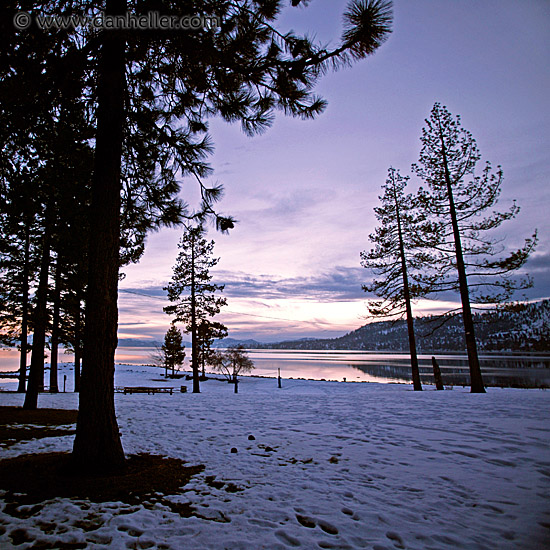 lake-snow-trees-2.jpg