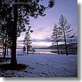 california, dusk, lake tahoe, lakes, snow, square format, trees, west coast, western usa, photograph