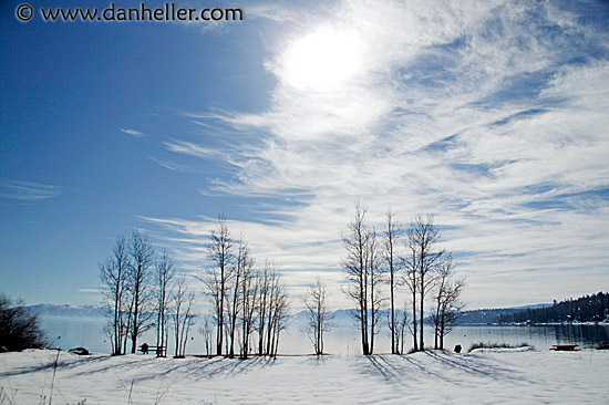 bare-trees-snow-lake.jpg