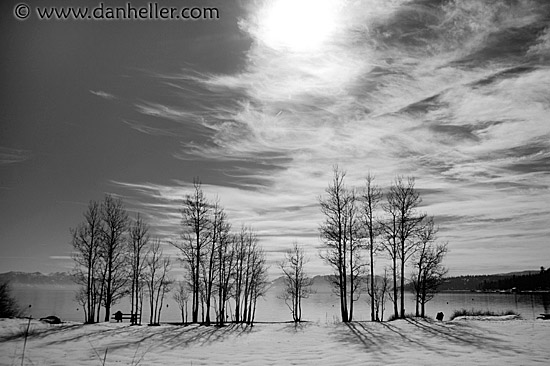 bare-trees-snow-lake-bw.jpg