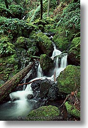 california, cataract, cataract falls, falls, marin, marin county, north bay, northern california, san francisco bay area, vertical, waterfalls, west coast, western usa, photograph