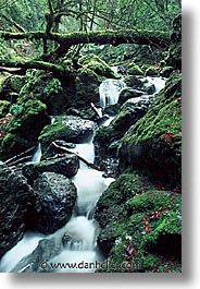 california, cataract, cataract falls, falls, marin, marin county, north bay, northern california, san francisco bay area, vertical, waterfalls, west coast, western usa, photograph