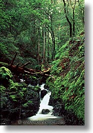 california, cataract, cataract falls, falls, marin, marin county, north bay, northern california, san francisco bay area, vertical, waterfalls, west coast, western usa, photograph