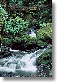 california, cataract, cataract falls, falls, marin, marin county, north bay, northern california, san francisco bay area, vertical, waterfalls, west coast, western usa, photograph