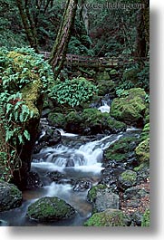 california, cataract, cataract falls, falls, marin, marin county, north bay, northern california, san francisco bay area, vertical, waterfalls, west coast, western usa, photograph