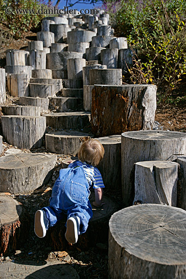 jack-climbing-stumps-2.jpg