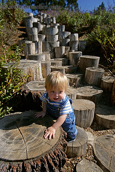 jack-climbing-stumps-3.jpg