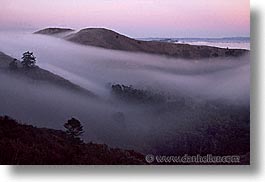 california, fog, horizontal, marin, marin county, north bay, northern california, rolling, san francisco bay area, west coast, western usa, photograph