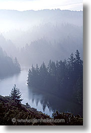 alpines, california, fog, marin, marin county, north bay, northern california, san francisco bay area, vertical, west coast, western usa, photograph