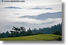 california, fog, foggy, hills, horizontal, marin, marin county, north bay, northern california, san francisco bay area, west coast, western usa, photograph