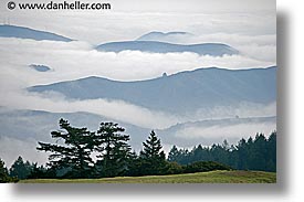 california, fog, foggy, hills, horizontal, marin, marin county, north bay, northern california, san francisco bay area, west coast, western usa, photograph