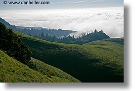 california, fog, foggy, hills, horizontal, marin, marin county, north bay, northern california, san francisco bay area, west coast, western usa, photograph