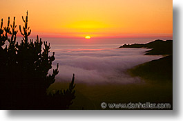 images/California/Marin/Fog/foggy-overlook-d.jpg
