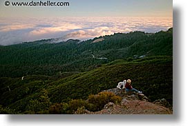 california, fog, horizontal, marin, marin county, north bay, northern california, sam, san francisco bay area, west coast, western usa, photograph