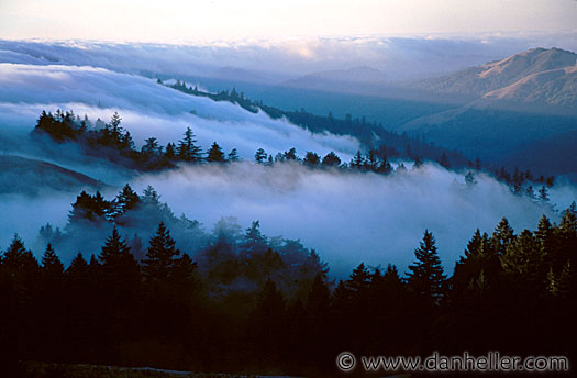 hdlands-fog-c.jpg