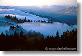 california, fog, headlands, horizontal, marin, marin county, north bay, northern california, san francisco bay area, west coast, western usa, photograph