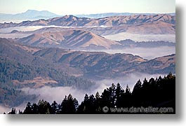 california, fog, headlands, horizontal, marin, marin county, north bay, northern california, san francisco bay area, west coast, western usa, photograph