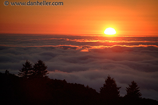 ocean-fog-sunset-1.jpg