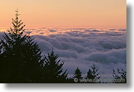 california, fog, horizontal, marin, marin county, north bay, northern california, san francisco bay area, set, sunsets, tam, west coast, western usa, photograph