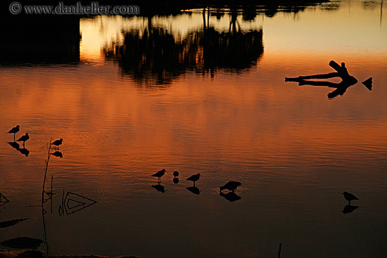sunset-dawn-river-reflection-06.jpg
