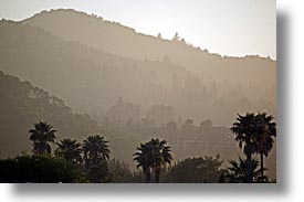 images/California/Marin/Greenbrae/kent-woodlands-1.jpg