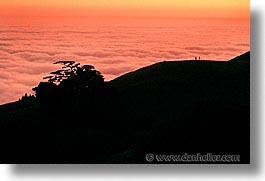 california, headlands, hikers, horizontal, marin, marin county, marin headlands, monterey pine, monts, north bay, northern california, pines, san francisco bay area, silhouettes, west coast, western usa, photograph