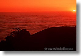 california, headlands, hikers, horizontal, marin, marin county, marin headlands, monterey pine, monts, north bay, northern california, pines, san francisco bay area, sunsets, west coast, western usa, photograph