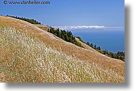 images/California/Marin/Headlands/hillside-1.jpg