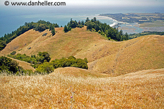 hillside-n-bolinas-lagoon.jpg