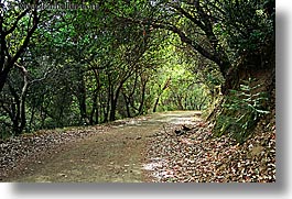 california, hike, hoo koo ee koo, horizontal, marin, marin county, north bay, northern california, paths, san francisco bay area, trails, west coast, western usa, photograph