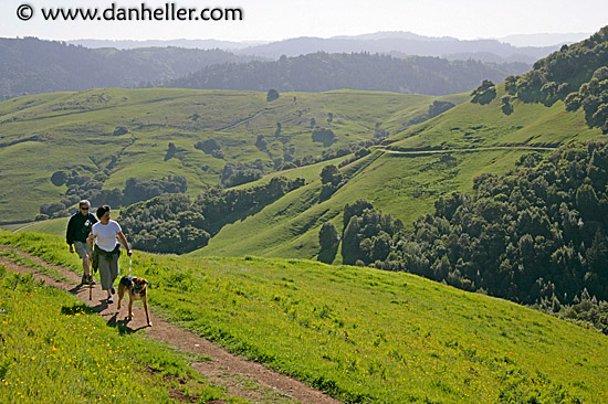 dog-hikers-hills-1.jpg