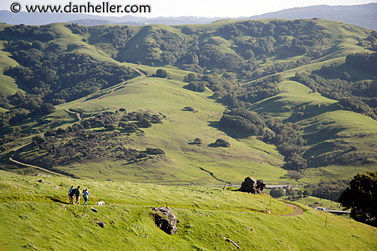 dog-hikers-hills-3a.jpg