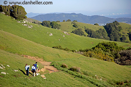 dog-hikers-hills-4.jpg