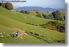 images/California/Marin/LucasValley/dog-hikers-hills-4.jpg