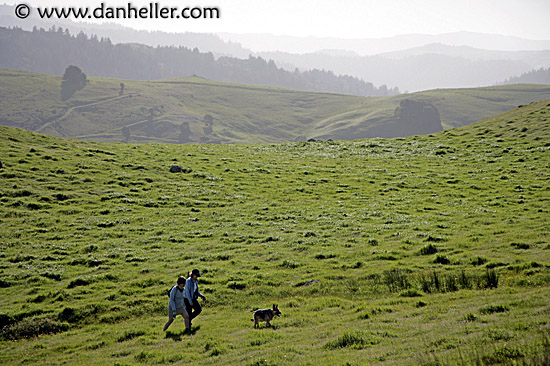 dog-hikers-hills-5.jpg