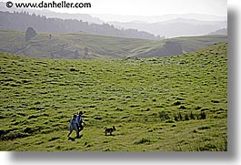 images/California/Marin/LucasValley/dog-hikers-hills-5.jpg