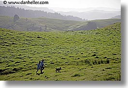 california, dogs, hikers, hills, horizontal, lucas valley, marin, marin county, north bay, northern california, san francisco bay area, west coast, western usa, photograph