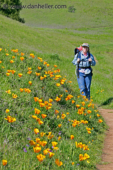 jill-n-poppies-1.jpg