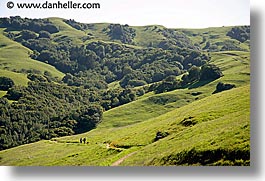 california, hills, horizontal, lucas, lucas valley, marin, marin county, north bay, northern california, san francisco bay area, valley, west coast, western usa, photograph