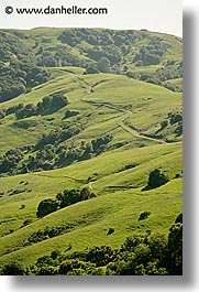 california, hills, lucas, lucas valley, marin, marin county, north bay, northern california, san francisco bay area, valley, vertical, west coast, western usa, photograph