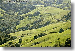 california, hills, horizontal, lucas, lucas valley, marin, marin county, north bay, northern california, san francisco bay area, valley, west coast, western usa, photograph