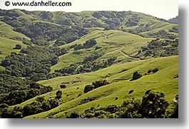 california, hills, horizontal, lucas, lucas valley, marin, marin county, north bay, northern california, san francisco bay area, valley, west coast, western usa, photograph