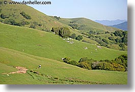 images/California/Marin/LucasValley/lucas-valley-hills-5.jpg