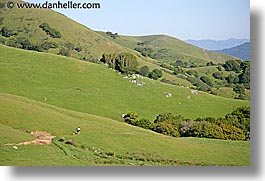 california, hills, horizontal, lucas, lucas valley, marin, marin county, north bay, northern california, san francisco bay area, valley, west coast, western usa, photograph