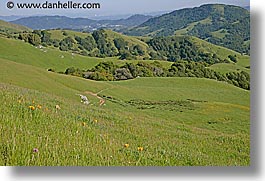 images/California/Marin/LucasValley/lucas-valley-hills-6.jpg