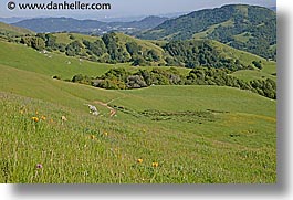 california, hills, horizontal, lucas, lucas valley, marin, marin county, north bay, northern california, san francisco bay area, valley, west coast, western usa, photograph