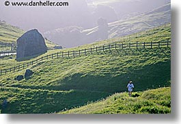 california, horizontal, lucas, lucas valley, marin, marin county, north bay, northern california, runners, san francisco bay area, valley, west coast, western usa, photograph