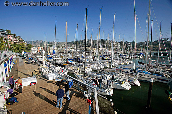 tiburon-harbor.jpg