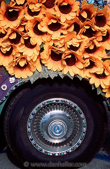 flower-wheel.jpg